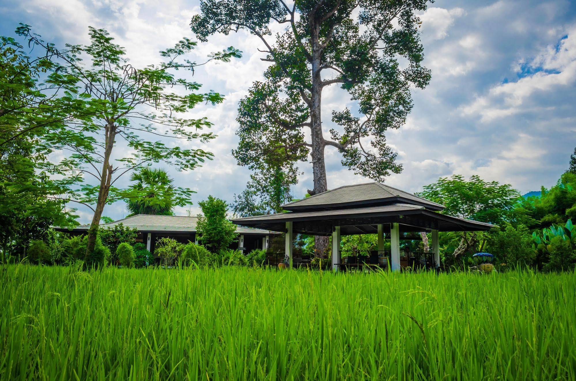 The River Resort Champasak Exteriör bild